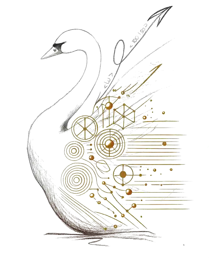 Il Cigno Digitale Siti web a Como