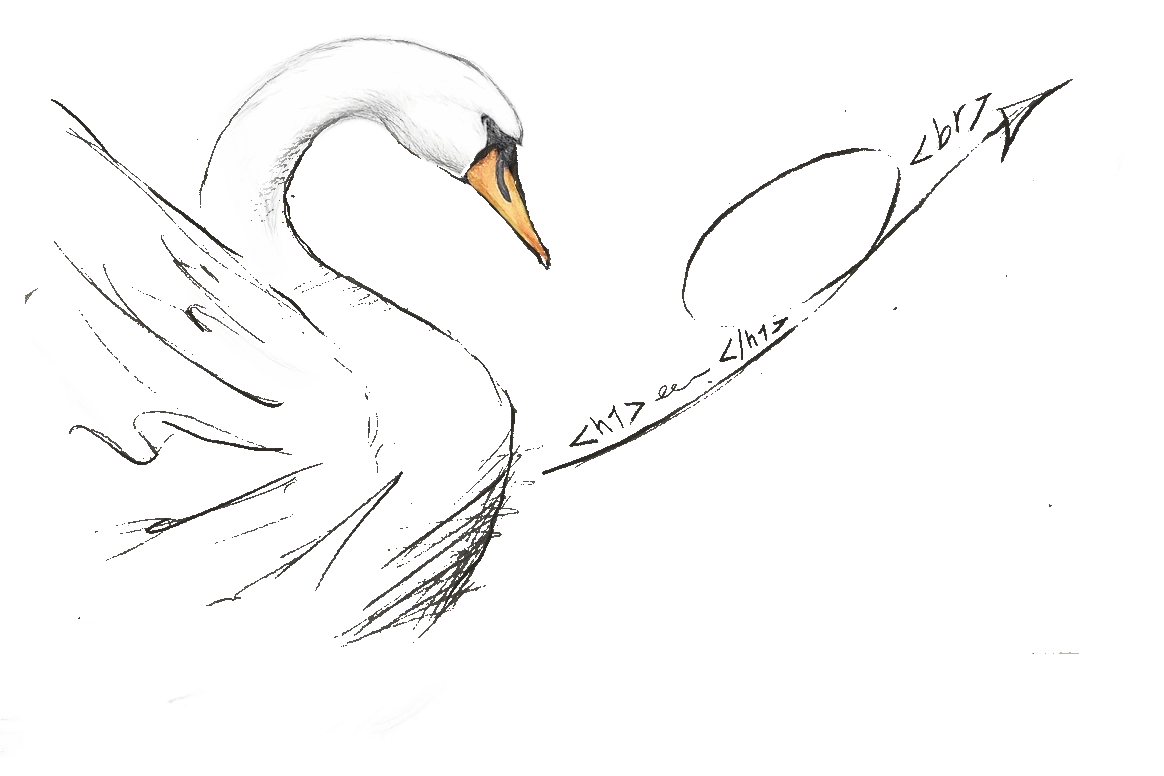 Il-Cigno-digitale-siti-web-a-Como-ov2-1